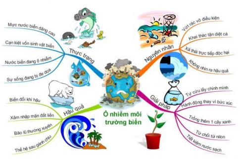 [KNTT] Trắc nghiệm tin học 6 bài 10: Sơ đồ tư duy