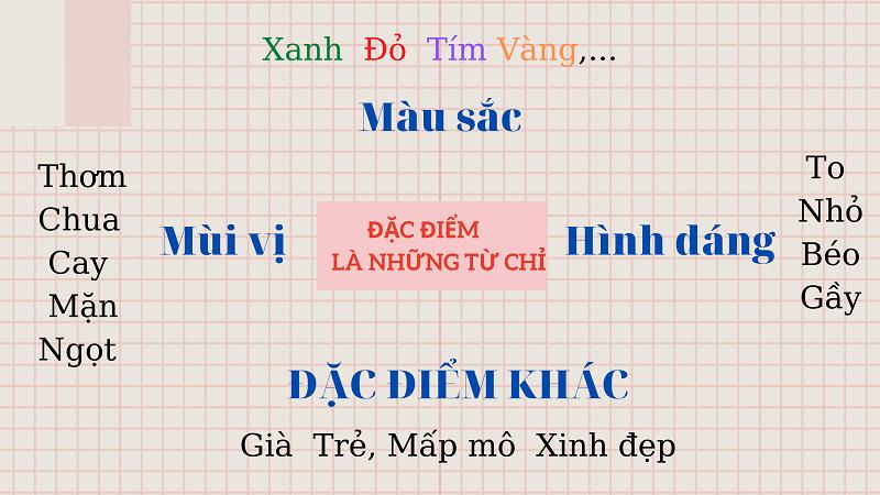 Từ chỉ đặc điểm là những từ nói về nét đặc trưng riêng của sự vật. (Ảnh: Hocmai)