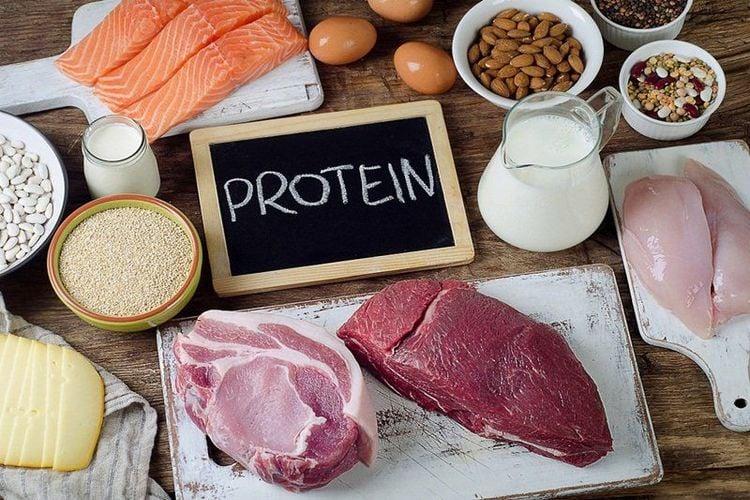 Chuyển hóa protein trong cơ thể gồm các quá trình sinh hóa khác nhau