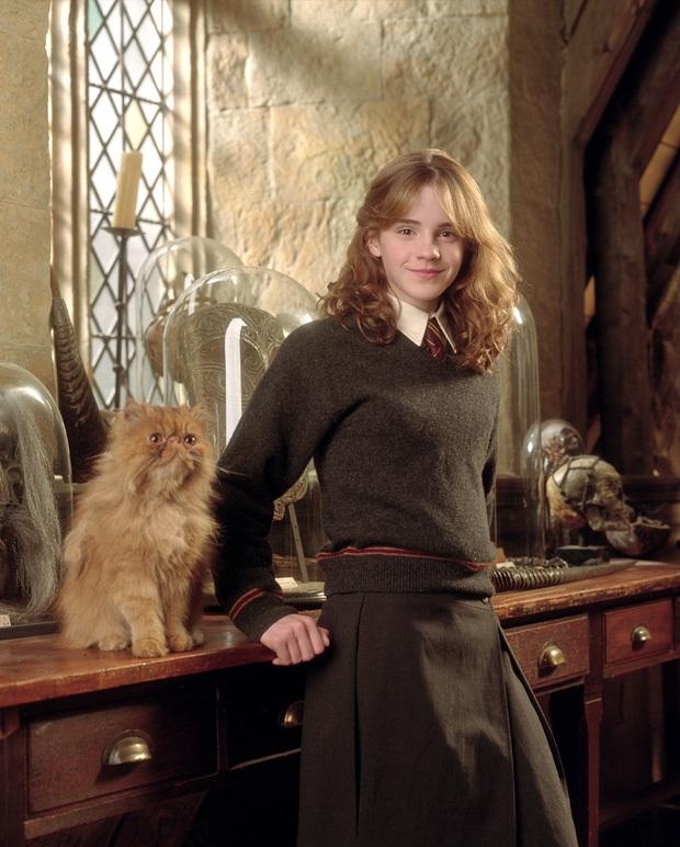 5 lần Hollywood “ăn bớt” nguyên tác: Harry Potter dìm hàng nữ chính, có phim còn lấp liếm tội phạm tình dục