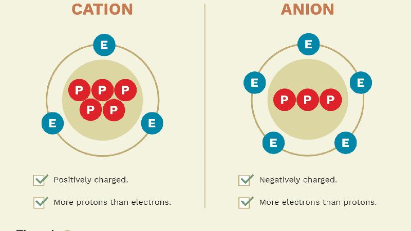 Cation, anion là gì