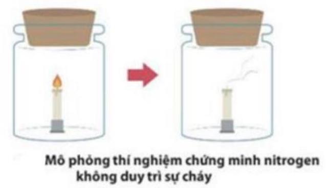 Bài Tập Trắc Nghiệm Đơn Chất Nitrogen Hóa 11 Có Đáp Án