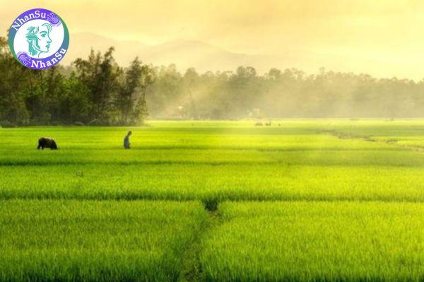 Viết đoạn văn nêu tình cảm cảm xúc của em về cảnh vật quê hương?