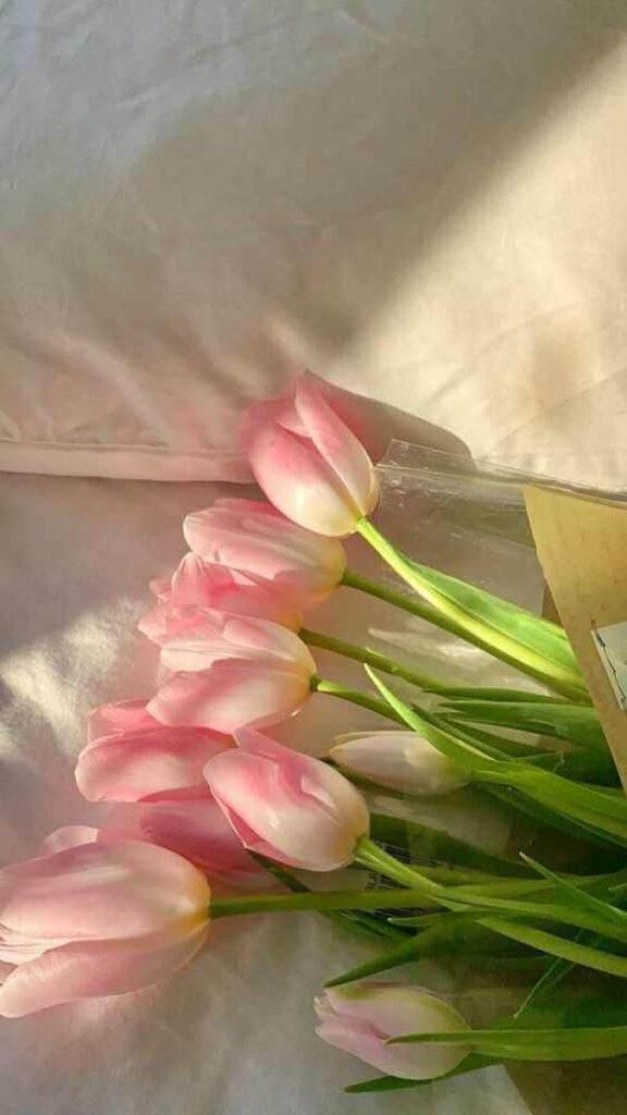 hình nền hoa tulip