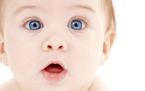 Con cái được di truyền từ mẹ và bố các đặc điểm như màu mắt, nhóm máu thông qua gen của họ