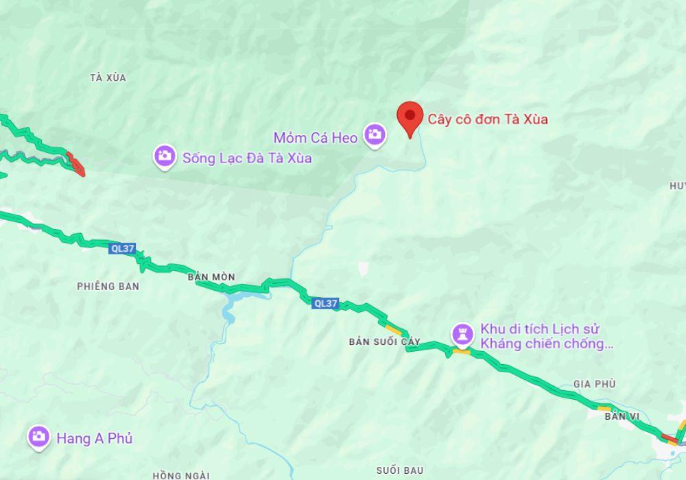 Cây cô đơn Tà Xùa tọa lạc tại Đỉnh Gió, thuộc xã Tà Xùa (Ảnh: Sưu tầm internet)