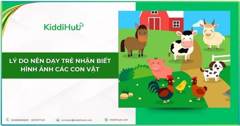 Lý do nên dạy trẻ nhận biết hình ảnh các con vật