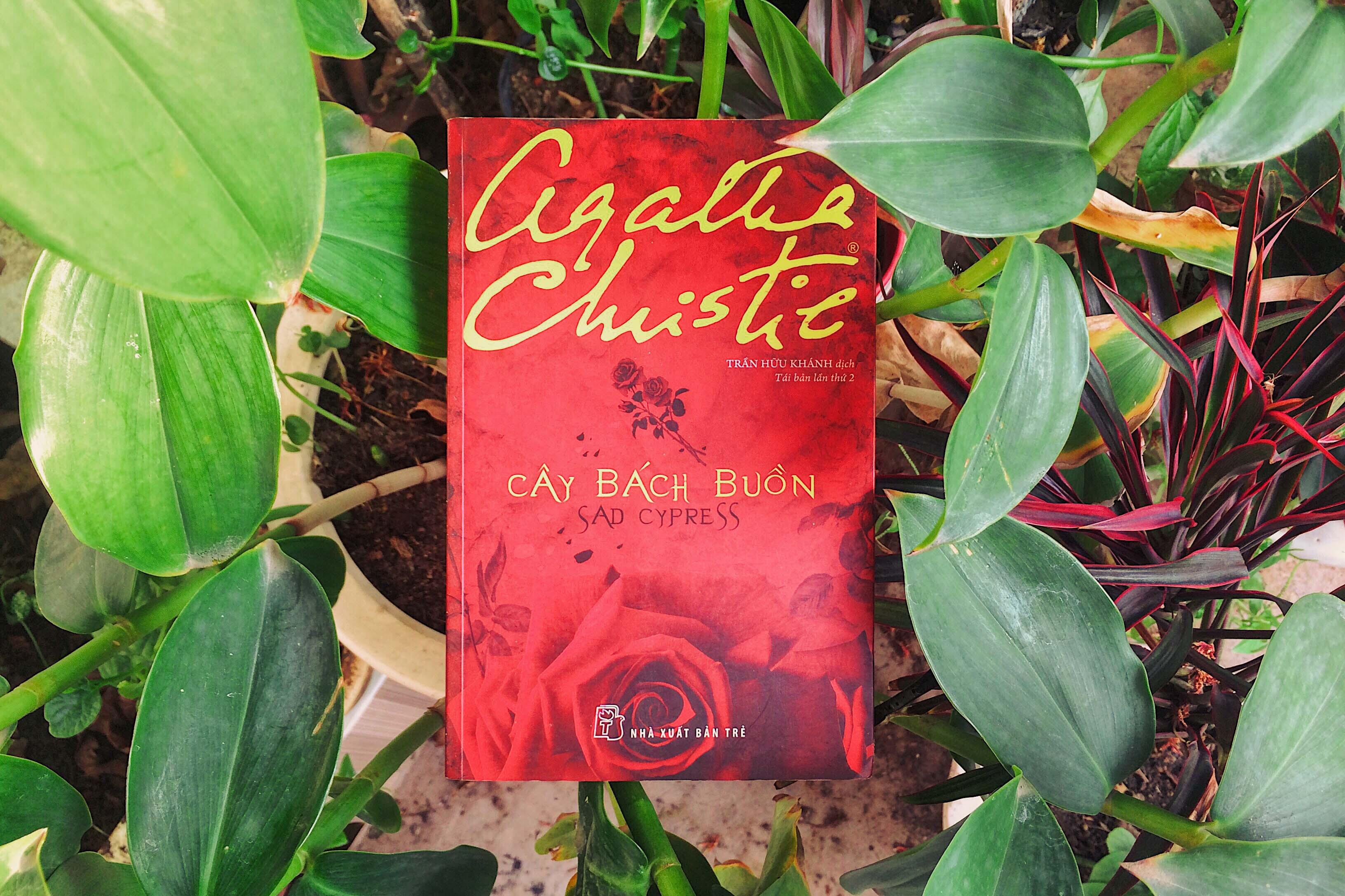 [Review] - Cây Bách Buồn - Agatha Christie