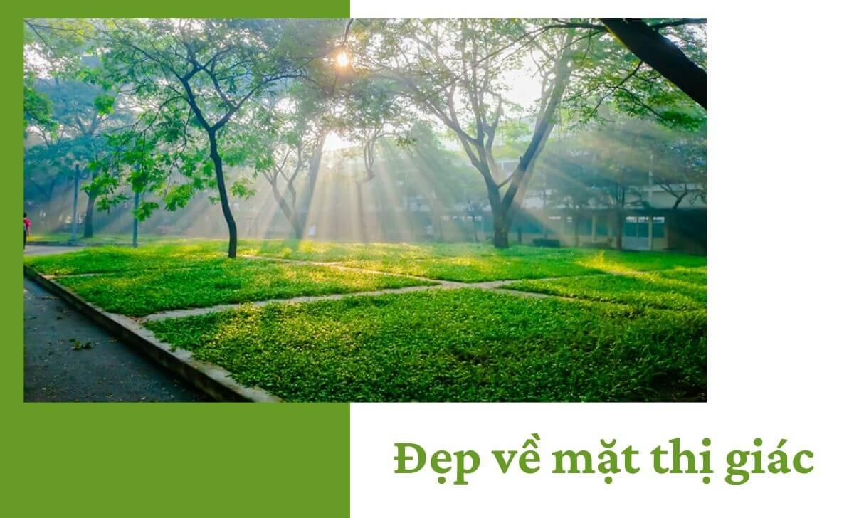 Tìm hiểu thế nào là một bức ảnh đẹp về mặt thị giác