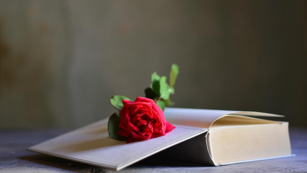Bài thơ nhớ người yêu về đêm hay nhất
