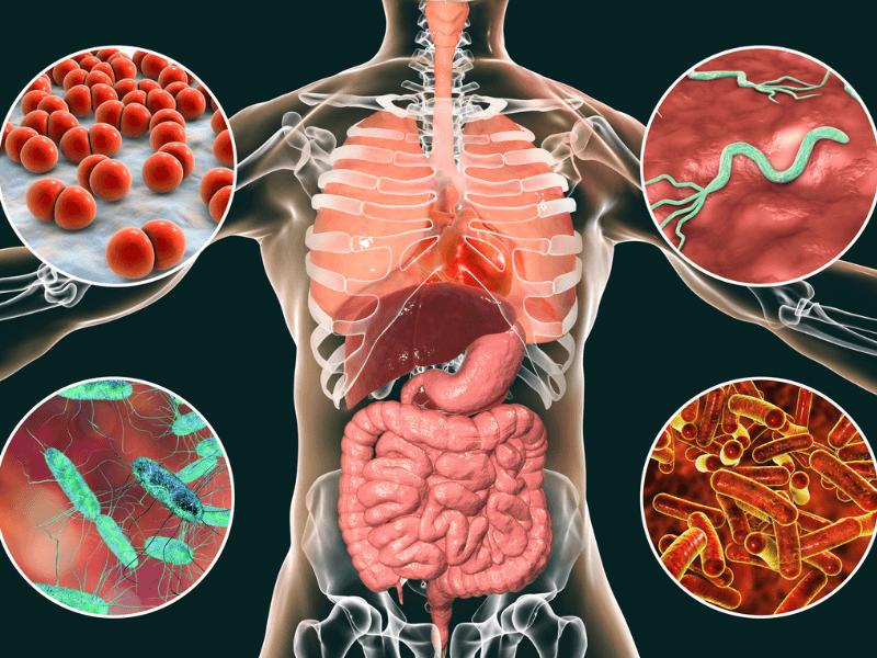 Nguyên nhân gây sốt 39 độ ở người lớn