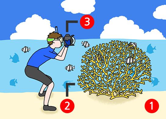 Ảnh trên cạn-dưới nước với cá và san hô
