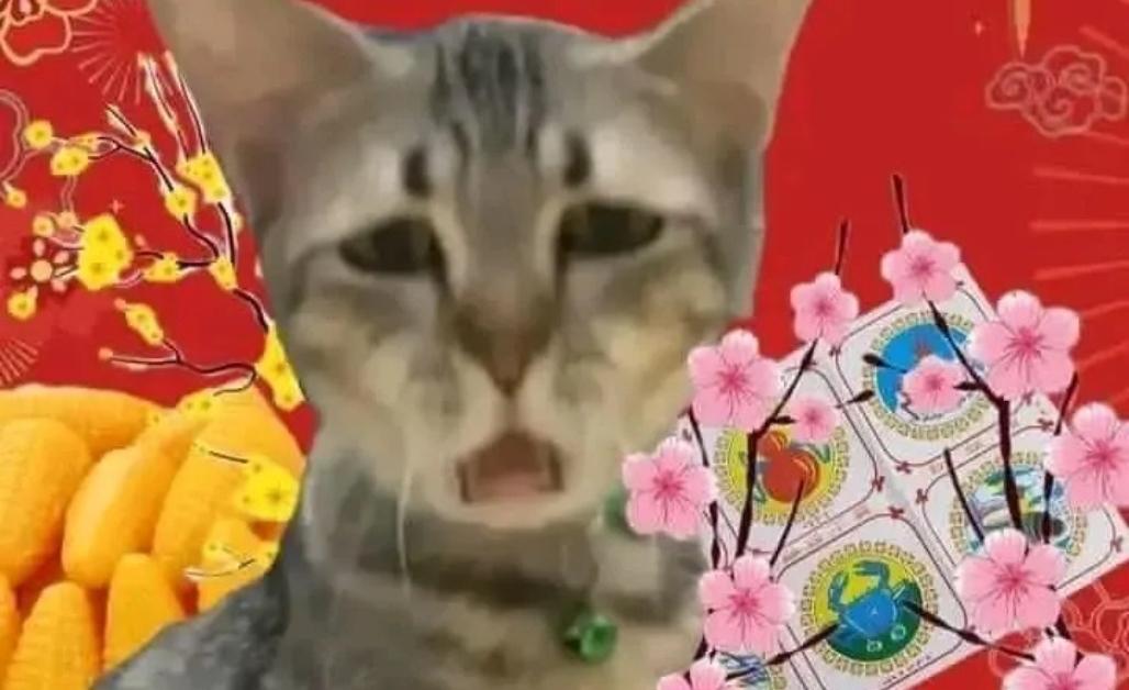 khí ngày Tết nhé! Ý nghĩa của Meme mèo Tết