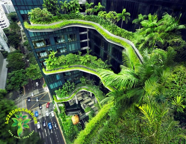 Dàn ý cho bài thuyết trình về thành phố xanh trong tương lai