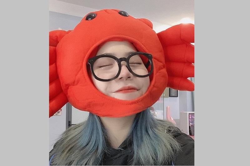 Mèo Simmy trong trang phục dễ thương