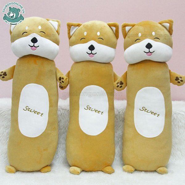Chó bông Shiba