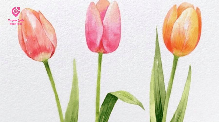 Cach ve hoa tulip don gian