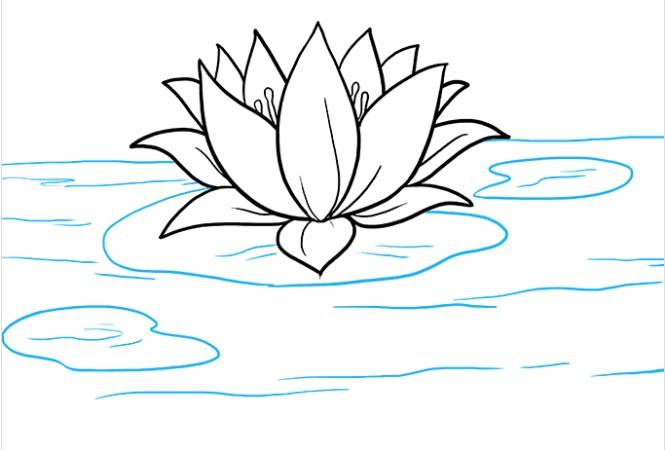 Cách vẽ hoa sen đơn giản nhất