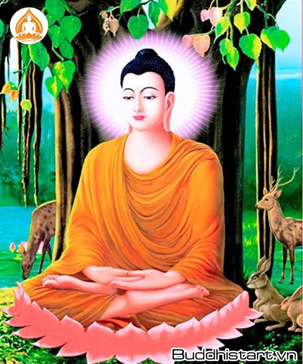 co-nen-de-anh-phat-trong-vi-lam-hinh-nen-may-tinh-dien-thoai
