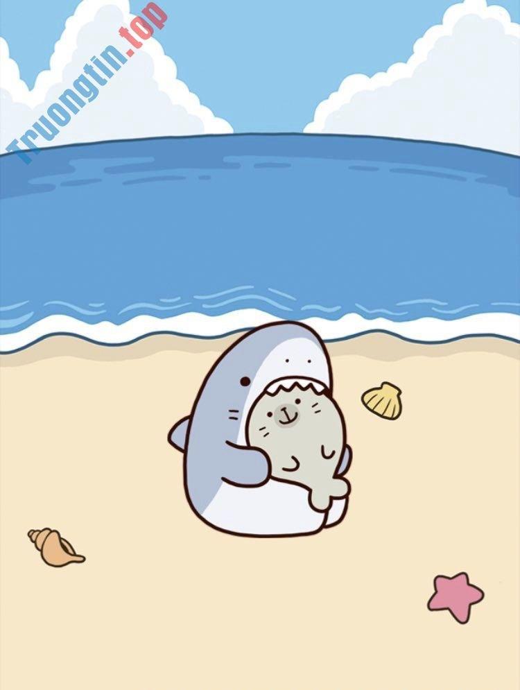 Hình nền Cá Mập Cute, ảnh hình nền cá mập cute