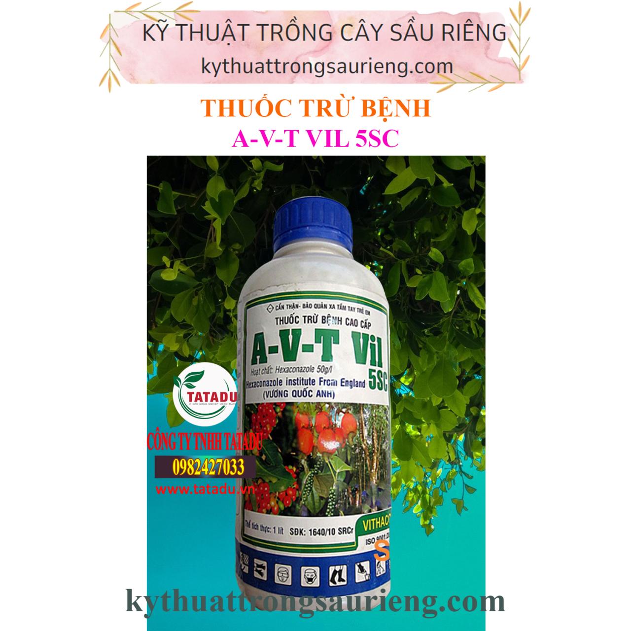 A V T VIL 5SC 1