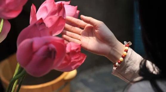 Vì sao lại nói “bôn ba không qua thời vận”? 1