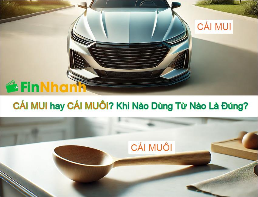 CÁI MUI Hay CÁI MUÔI, Khi Nào Dùng Từ Nào Là Đúng