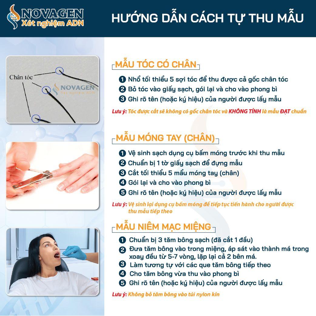 Xét nghiệm ADN dì/bác gái – cháu gái/trai ruột
