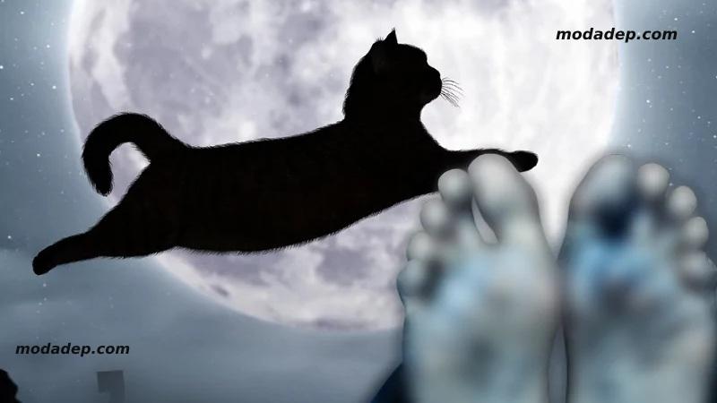 Liệm, hay còn gọi là khâm liệm, là nghi thức không thể thiếu trong quá trình tổ chức tang lễ