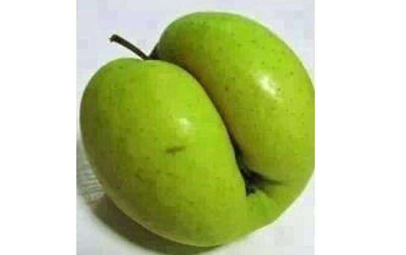 Quả khu mấn là gì? Đặc sản nổi danh của tỉnh Nghệ An và Hà Tĩnh