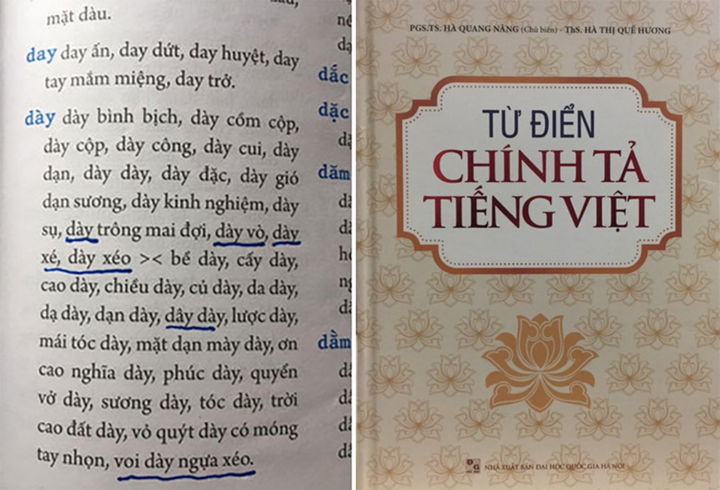 Từ điển chính tả viết sai chính tả: