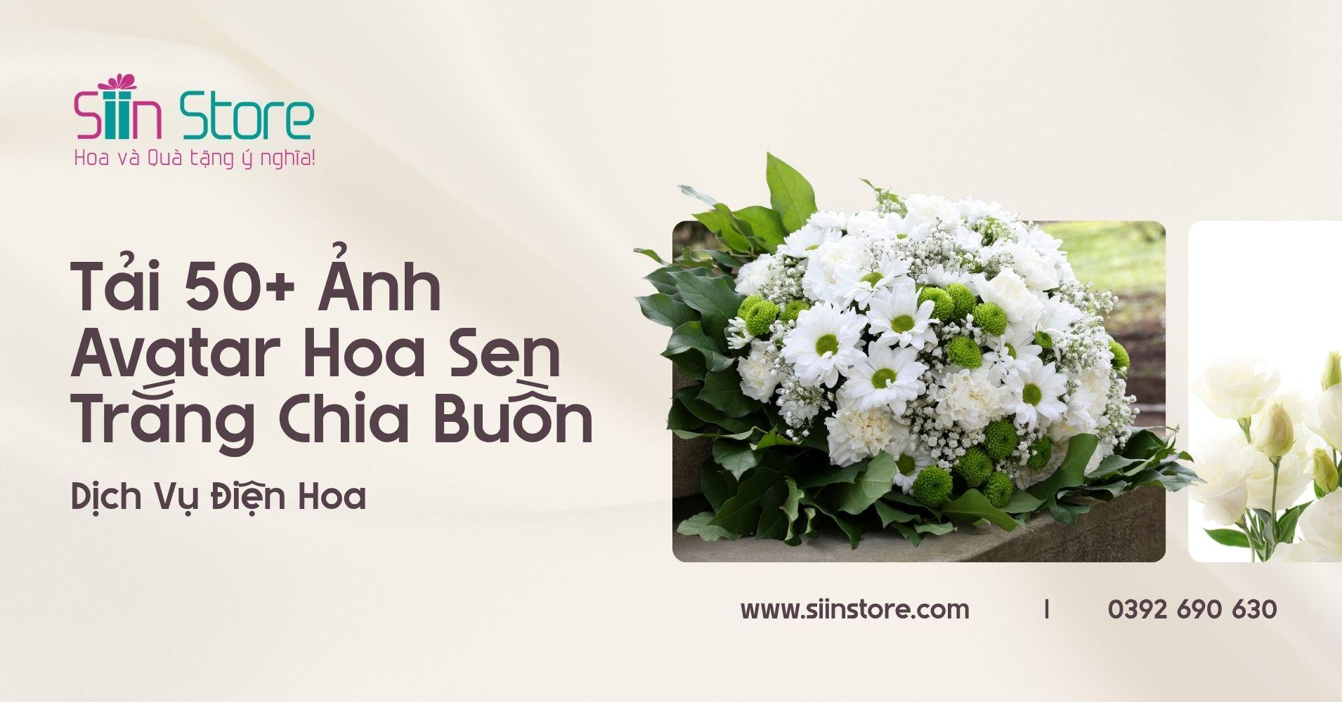 avatar chia buồn hoa sen trắng đám tang