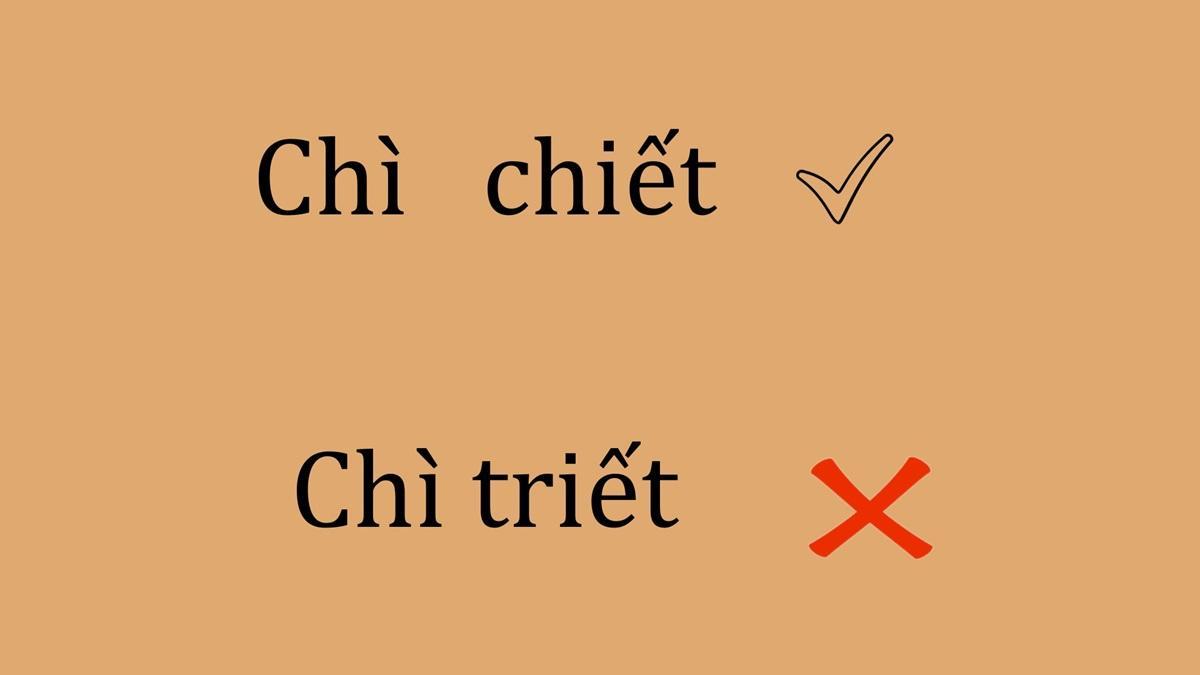 chì chiết hay chì triết